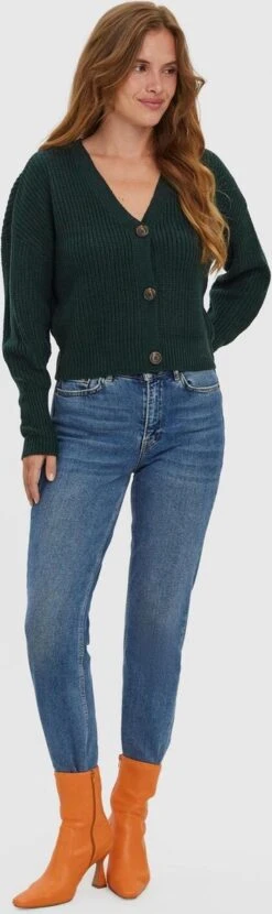 VERO MODA VMLEA LS V-NECK CUFF CARDIGAN NOOS Dames Trui - Maat L -Vero Moda 357x1200 2